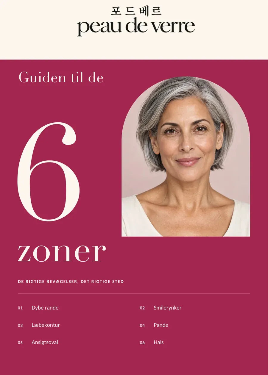 Guiden til de 6 zoner (e-bog)
